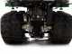 GreenBay Tipper 300 Tracked Power Barrow - Dumper - Honda GP160 Engine