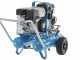 Campagnola MC 545 Petrol Engine-driven Air Compressor Honda GP160 KIT + 2 Tuono Evo Pneumatic Olive Harvesters + Victory Pneumatic Pruning Shears