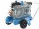 Campagnola MC 545 Petrol Engine-driven Air Compressor Honda GP160 KIT + 2 Tuono Evo Pneumatic Olive Harvesters + Victory Pneumatic Pruning Shears