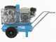 Campagnola MC 545 Petrol Engine-driven Air Compressor Honda GP160 KIT + 2 Tuono Evo Pneumatic Olive Harvesters + Victory Pneumatic Pruning Shears