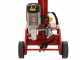 Ceccato BULL SPLE10T - Electric Log Splitter - Vertical - 400V