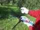 Lisam Oliwatt 2 Electric Battery-powered Olive Harvester - With Nylon prongs - Telescopic Pole