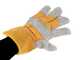 Blue Bird CSP 270 TC - Petrol Pruning Chainsaw - 25 cm Blade