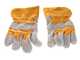 Blue Bird CSP 270 TC - Petrol Pruning Chainsaw - 25 cm Blade