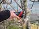 Infaco F3020M Electric Pruning Shears - 36V 3Ah - 45mm Cutting diameter