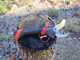 Infaco F3020M Electric Pruning Shears - 36V 3Ah - 45mm Cutting diameter