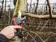 Infaco F3020M Electric Pruning Shears - 36V 3Ah - &Oslash; 45 mm