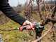 Infaco F3020M Electric Pruning Shears - 36V 3Ah - &Oslash; 45 mm