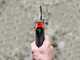 Infaco F3020M Electric Pruning Shears - 36V 3Ah - &Oslash; 45 mm