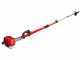 BlueBird PTT261 2-stroke Telescopic Pruner