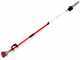BlueBird PTT261 2-stroke Telescopic Pruner