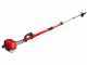 BlueBird PTT261 2-stroke Telescopic Pruner