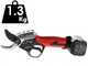 BlueBird PS 22-38 Electric Battery-operated Pruning Shears on extension pole - 21.6V - 2.5Ah - 38mm Cutting diameter