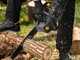 Batavia - 2x 18V 2Ah Battery-powered Electric Cutting Chainsaw - 38 cm Blade