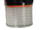 Ribimex Ceneti - Small Canister Ash Vacuum - 15L