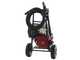 AgriEuro Top-Line EWD-K 15/310 Petrol Pressure Washer &ndash; Honda GX 390 Engine