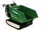 GreenBay Tipper-H 500 Dumper Tracked Power Barrow - BS XR1450 Engine - Hydraulic body