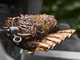 Electric Spit Roaster for Weber Spirit Barbecue