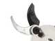 Castellari Ryno 63 Electric Pruning Shears - 2x 21.6 V - 2.5Ah
