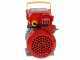 Rover 20 By-Pass - Bronze Electric Transfer Pump