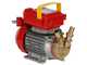 Rover 20 By-Pass - Bronze transfer electric pump - Single-phase - 230V