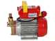 Rover 20 By-Pass - Bronze transfer electric pump - Single-phase - 230V