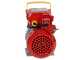 Rover 20 By-Pass - Bronze transfer electric pump - Single-phase - 230V