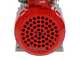 Rover 20 By-Pass - Bronze transfer electric pump - Single-phase - 230V