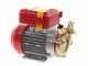 Rover 25 By-Pass - Bronze Electric Transfer Pump