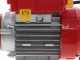 Rover 25 By-Pass - Bronze transfer electric pump - Single-phase - 230V