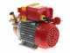 Rover 25 Electric Transfer Pump with By-Pass - 0.8 hp Single-phase Motor
