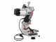 MAXX The Pro-Grinder Chain Sharpener - Chain sharpener for AMA chainsaws