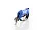 Paterlini Baby Professional Pneumatic Pruning Shears - double-cut - Air-operated