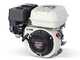 Comet MTP P40/20 SC 4T - Petrol Sprayer Pump - Honda GP 160 Engine - Version for Acids and Chemicals
