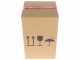 Komo KoMoMio Aqua Green - Beechwood Flour Stone Mill - 360W