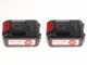 Sbaraglia ARES-22 Battery-powered Pruner on Telescopic Pole - 2x 5.2 Ah/21V Batteries