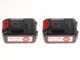 Sbaraglia ARES-22 Battery-powered Pruner on Telescopic Pole - 2x 5.2 Ah/21V Batteries