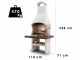 Palazzetti Brest 3 Masonry Wood-fired and Charcoal Barbecue