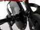 Benassi BL365 C - 7 HP Petrol Garden Tiller - Hwasdan H170F Engine