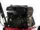 Benassi BL365 C - 7 HP Petrol Garden Tiller - Hwasdan H170F Engine