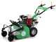 Lampacrescia MGM TTR580/S Hammer Rough Cut Mower - Honda GX200 Engine