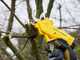 Stanley SFMCPP32M1-QW Electric Pruning Shears - 20 V - 4Ah Battery
