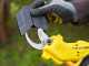 Stanley SFMCPP32M1-QW Electric Pruning Shears - 32mm Cutting diameter - WITHOUT BATTERY AND CHARGER