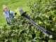 RYOBI RY36PHT50A-0 Battery-powered Hedge Trimmer on Extension Pole 36 V - 2Ah - 50 cm Blade