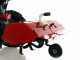 Barbieri Flex 2+2 - Petrol Two-wheel Tractor - Honda GX200 - 5.8HP
