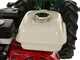MGM FC 207 E - Multifunctional motor mower - Honda GX160