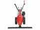 Barbieri C/60 - Multifunctional motor mower - Honda GX160