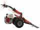 Ginko MGM FC 759 - Multifunctional motor mower - Honda GX390