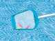 Intex 29056 Basic Cleaning Kit for Above-Ground Pools