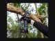 BATAVIA NEXXSAW ULTRA V3.2  Battery-Powered Manual Pruner - 18V - 4AH